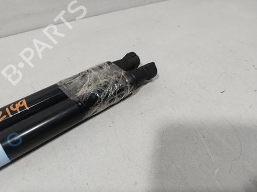 Tailgate lift support RENAULT GRAND SCÉNIC IV (R9_) 1.3 TCe 160 | BP29734094C138 