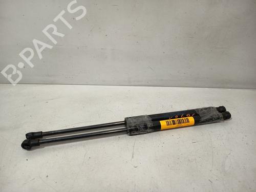 tailgate-lift-support-renault-twingo-ii-cn0_-2007-32326202 main image