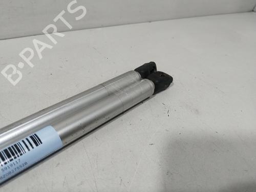 Tailgate lift support AUDI A2 (8Z0) 1.4 | BP30157344C138 