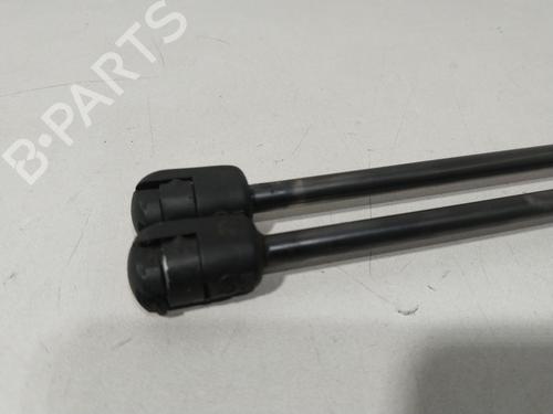 Tailgate lift support CHEVROLET AVEO / KALOS Hatchback (T200) 1.4 | BP29915640C138