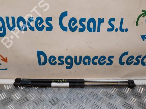 Gasdæmper bagklap OPEL CORSA B (S93) [1993-2009]  14066269
