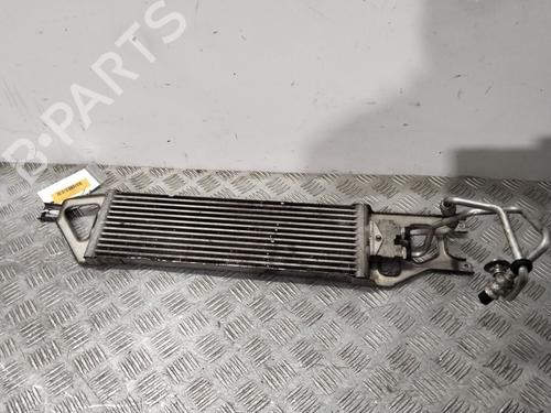 Used Oil radiator MERCEDES-BENZ B-CLASS Sports Tourer (W245) B 200 CDI (245.208) (140 hp) 31711500