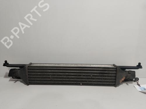 Used Intercooler FIAT GRANDE PUNTO Van (199_) 1.3 JTD Multijet (199CXC1A) (75 hp) 27614988