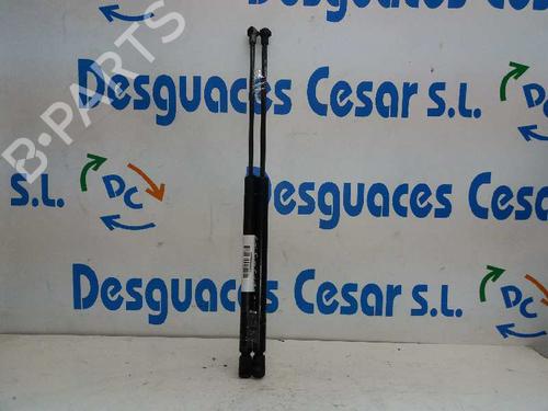 Used Tailgate lift support VW GOLF IV (1J1) [1997-2008]  14066087