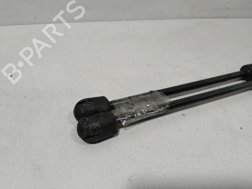 Tailgate lift support CITROËN C3 I (FC_, FN_) 1.1 i | BP29639459C138 
