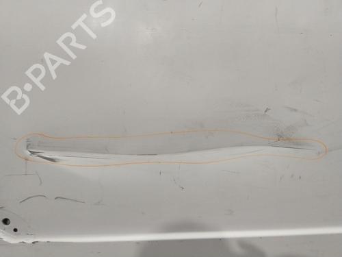 Right slide door NISSAN PRIMASTAR Van (X83)  | BP25050208C75 