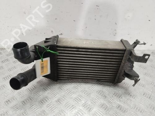 Intercooler Intercooler OPEL ZAFIRA / ZAFIRA FAMILY B (A05) 1.9 CDTI (M75) (120 hp) 34055742 34055742