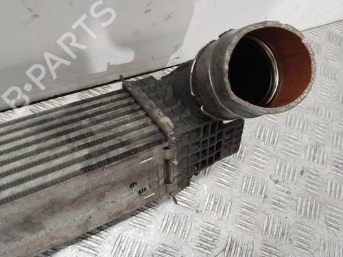 Intercooler RENAULT GRAND SCÉNIC III (JZ0/1_) 1.6 dCi (JZ00, JZ12) | BP29866543M30