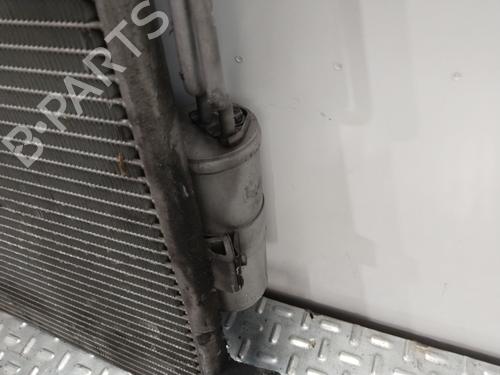 AC radiator NISSAN PATHFINDER III (R51) 2.5 dCi 4WD | BP31831794M32