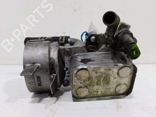 Used Oil radiator Oil radiator CITROËN C8 (EA_, EB_) [2002-2026] 14066093 14066093