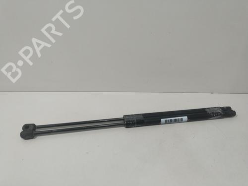 Used Tailgate lift support RENAULT GRAND SCÉNIC II (JM0/1_) [2004-2009]  27995340