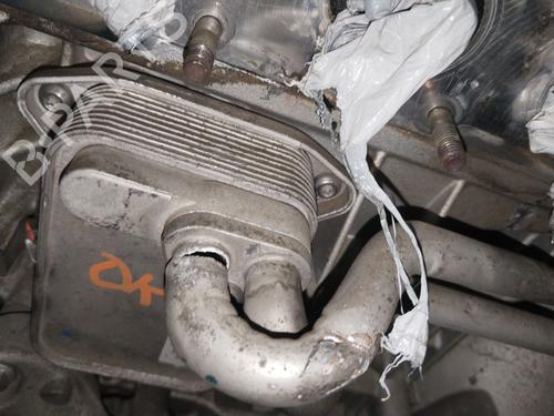 Motor VW PASSAT B6 (3C2) 1.6 FSI | BP28157076M1 