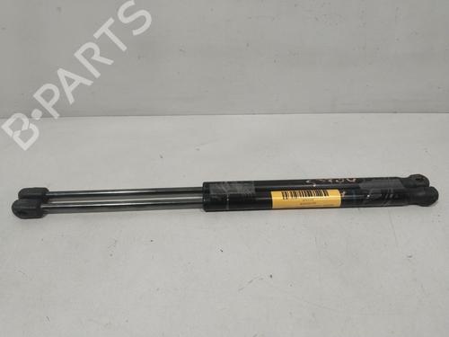 tailgate-lift-support-renault-megane-ii-bm01_-cm01_-2001-2002-2003-2004-2005-2006-2007-2008-2009-2010-2011-2012-32111520 main image