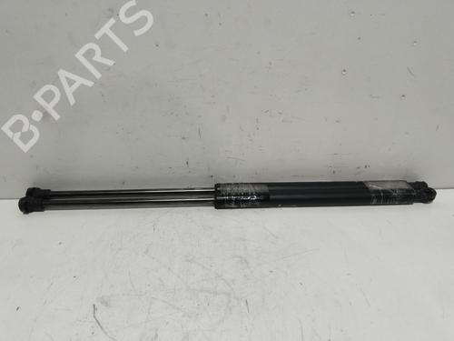 Used Tailgate lift support CHEVROLET LACETTI (J200) 1.6 (109 hp) 21518329