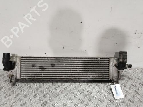 Used Intercooler NISSAN QASHQAI I (J10, NJ10) 1.5 dCi (110 hp) 30383077