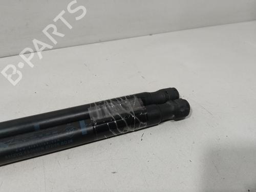 Tailgate lift support RENAULT GRAND SCÉNIC II (JM0/1_) 1.9 dCi (JM14) | BP29854015C138
