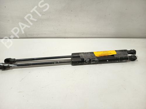 hood-lift-support-renault-kangoo-express-fw01_-2008-33977059 main image