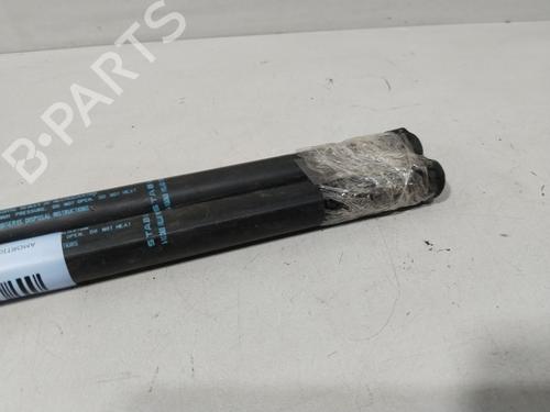 Tailgate lift support CITROËN C3 I (FC_, FN_) 1.1 i | BP29639459C138 