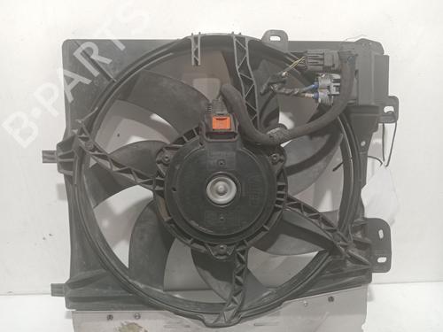 Used Radiator fan Radiator fan PEUGEOT 207 SW (WK_) [2007-2013] 19138616 19138616