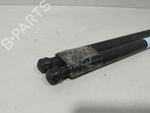 Gassdemper Bakluke CITROËN XSARA PICASSO (N68) 2.0 HDi | BP29750042C138