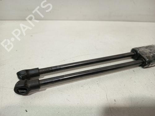Tailgate lift support RENAULT TWINGO II (CN0_) 1.5 dCi 75 | BP32326202C138