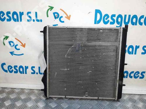 Used Water radiator PEUGEOT 207 (WA_, WC_) [2006-2015]  6969896