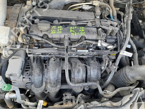 Front left panel FORD ECOSPORT | BP13547035C58 - Image 9