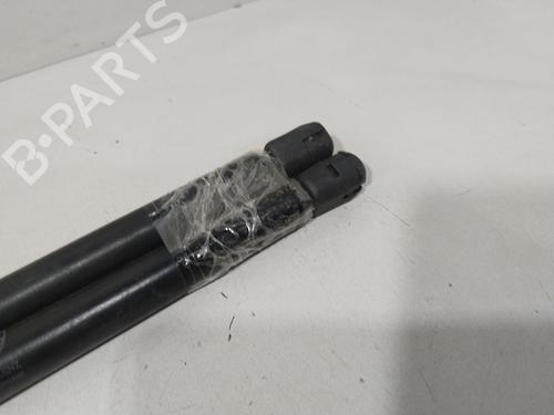 Tailgate lift support FIAT UNO (146_, 158_) 45 0.9 | BP29750041C138 