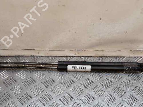 Used Tailgate lift support NISSAN ALMERA II Hatchback (N16) [2000-2025]  14066292