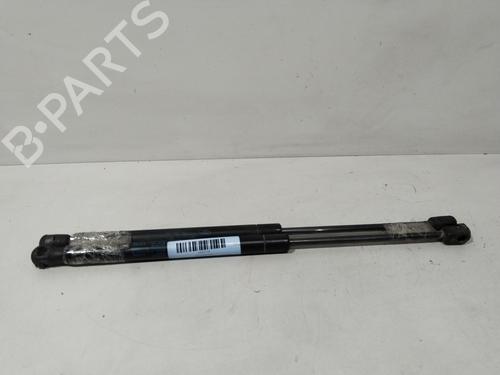 Heckklappendämpfer für RENAULT CLIO II (BB_, CB_) 1.4 16V (B/CB0L) (95 hp) 29639464