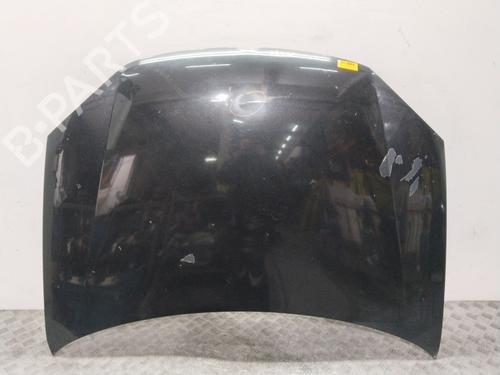 Motorhjelm VW GOLF V (1K1) 2.0 TDI (170 hp) 32343024