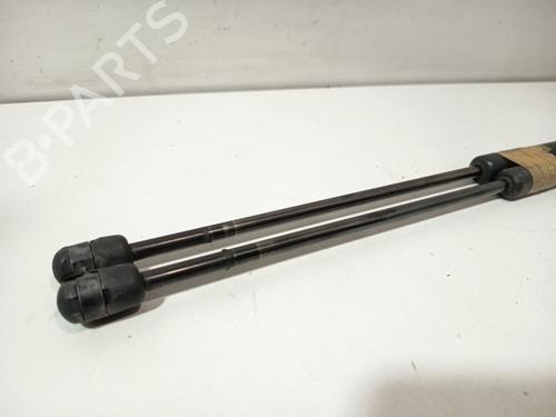 Tailgate lift support DACIA SANDERO 1.2 16V | BP34344611C138 - Image 2