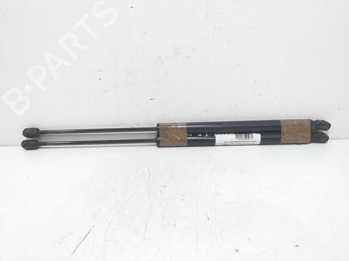 Used Tailgate lift support RENAULT MEGANE II Estate (KM0/1_) [2003-2012]  16372646