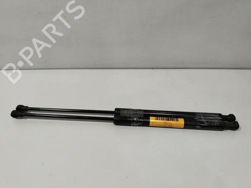 tailgate-lift-support-citroen-c3-ii-sc_-2009-32687565 main image