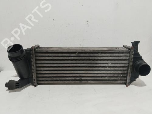 Used Intercooler Intercooler MERCEDES-BENZ CITAN Box Body/MPV (W415) 111 CDI (415.603, 415.605) (110 hp) 19022810 19022810