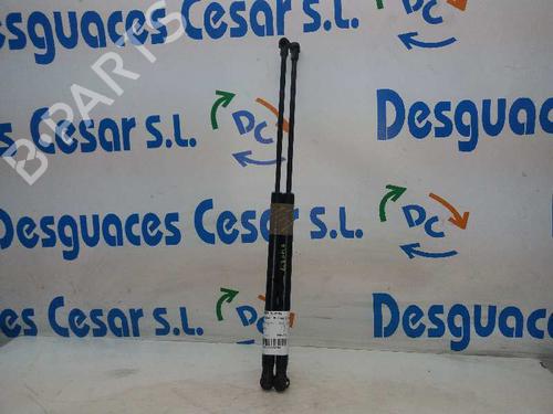 Used Tailgate lift support SEAT IBIZA III (6L1) [2002-2009]  14066018