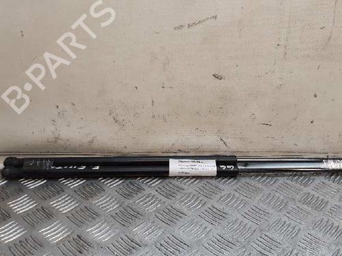 Used Tailgate lift support FORD FIESTA V (JH_, JD_) [2001-2014]  14066412