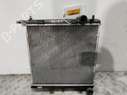 water-radiator-peugeot-207-wa_-wc_-2006-2007-2008-2009-2010-2011-2012-2013-2014-2015-31713725 main image