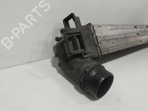 Intercooler RENAULT SCÉNIC III (JZ0/1_) 1.4 16V (JZ0F, JZ1V) | BP29402676M30