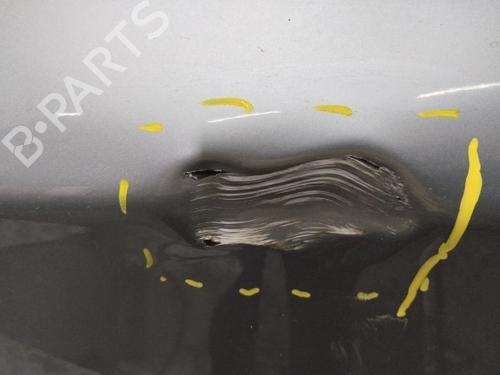 Left front door BMW 1 (E87)  | BP20689332C2 
