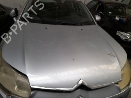 Used Hood Hood 39505544 39505544