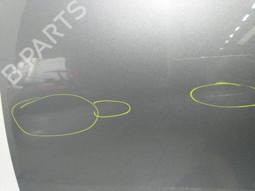 Left front door BMW 5 (E60)  | BP13026587C2 