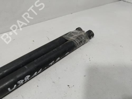 Tailgate lift support FIAT STILO Multi Wagon (192_) 1.6 16V | BP29639460C138 
