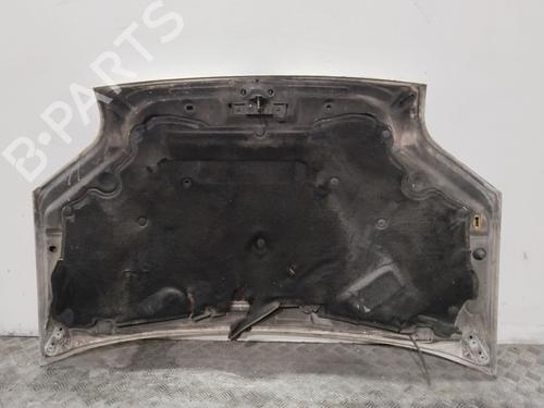 Hood FORD TRANSIT CONNECT (P65_, P70_, P80_) | BP30100755C1