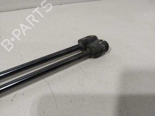 Tailgate lift support CITROËN C3 I (FC_, FN_) 1.4 i | BP29520806C138 