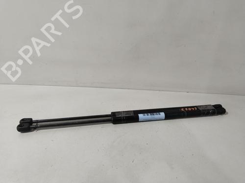 Used Tailgate lift support RENAULT SCÉNIC II (JM0/1_) 1.9 dCi (JM14) (131 hp) 31291534