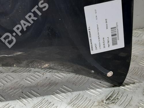 Hood CITROËN C5 II (RC_)  | BP8135900C1