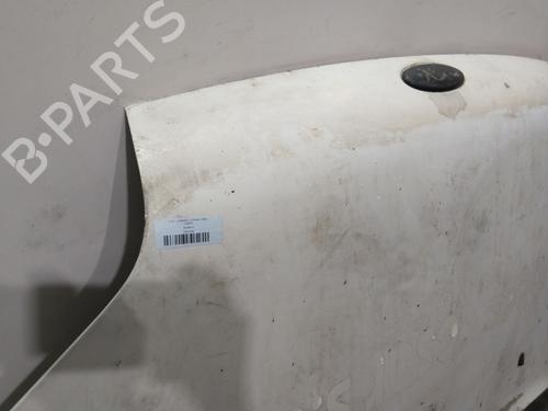 Hood FORD TRANSIT CONNECT (P65_, P70_, P80_) | BP30100755C1