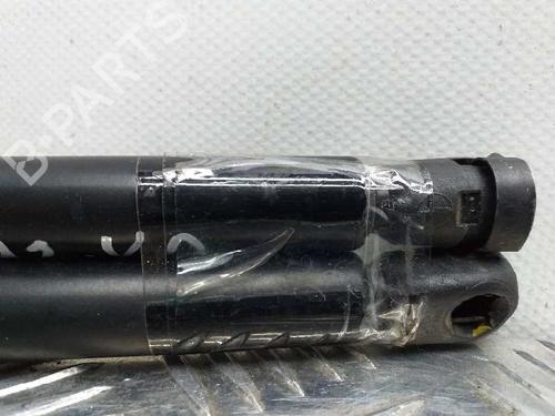 Tailgate lift support VW POLO III (6N1)  | BP14066397C138 