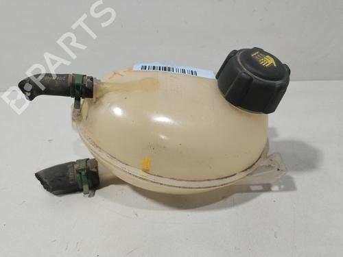 Ekpansionstank DACIA LOGAN MCV II TCe 90 (K8M1, K8MA, K8AC) (90 hp) 29734114